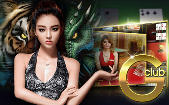 เทคนิคเดียวทำกำไรได้อย่างแน่นอน ในเกมไพ่เสือมังกรของทาง Gclub